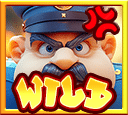 สัญลักษณ์ Wild