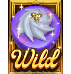 สัญลักษณ์ WILD