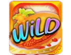 สัญลักษณ์ Wild