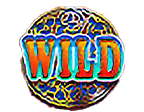 สัญลักษณ์ Wild