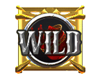 สัญลักษณ์ Wild