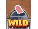 สัญลักษณ์ Wild