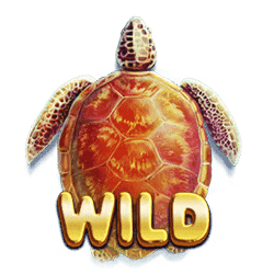 ฟีเจอร์เกม Turtle Paradise