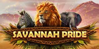 รูปแบบการชนะในเกม Savannah Pride